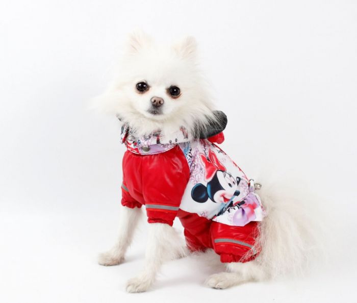 Комбінезон Мультяшка на силіконі (дівчинка) XS