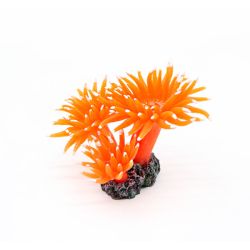 Корал-поліп помаранчевий, 12х9х7 см 