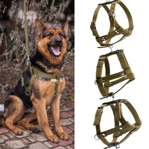 Шлея економ подвійна 40 мм