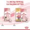 АКЦІЯ Royal Canin Motherbabycat сухий корм для кошенят та котів у період лактації 8+2 кг 