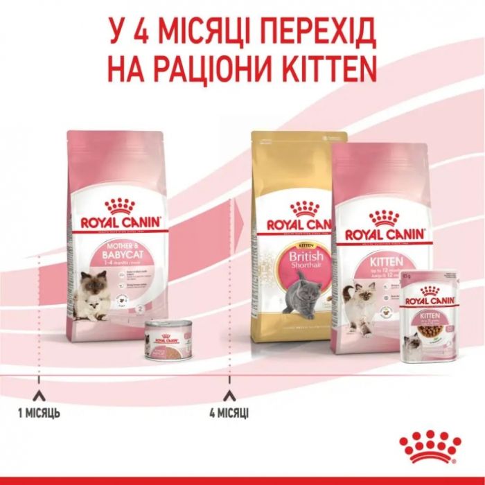 АКЦІЯ Royal Canin Babycat сухий корм для кошенят та вагітних кішок 8+2 кг 