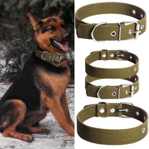 Нашийник для собак брезент одинарний, економ 21-35 см