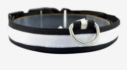 Нашийник USB нейлон Білий S 2,5 см. 34-41 см. Білий 