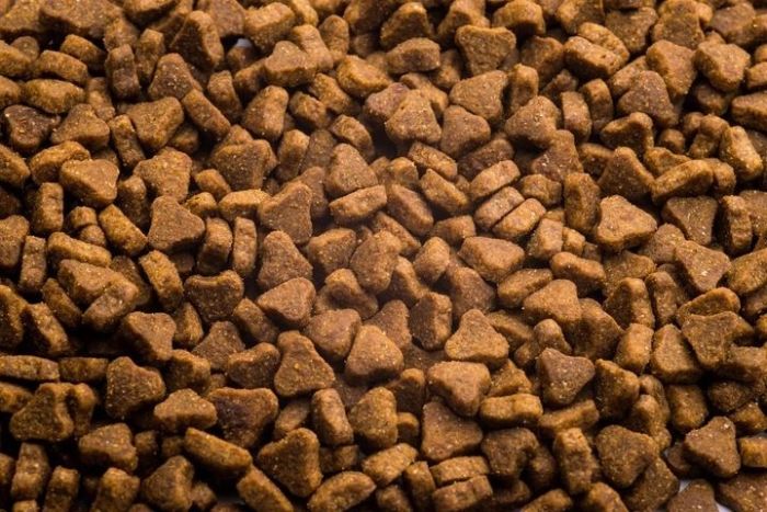 Акція CLUB 4 PAWS Сухий корм для цуценят великих порід з куркою 14кг (-18)