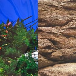 Фон двосторонній 40см 15м, Китай 