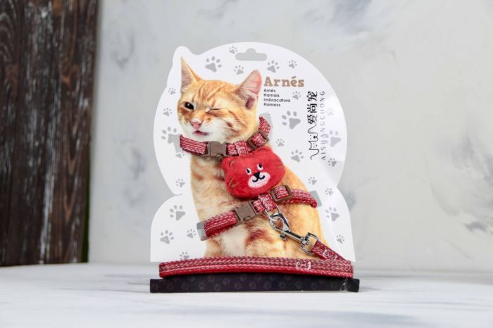 Комплект Котик, шлея з повідцем для кішки Червона Обєм грудей 24-38 см