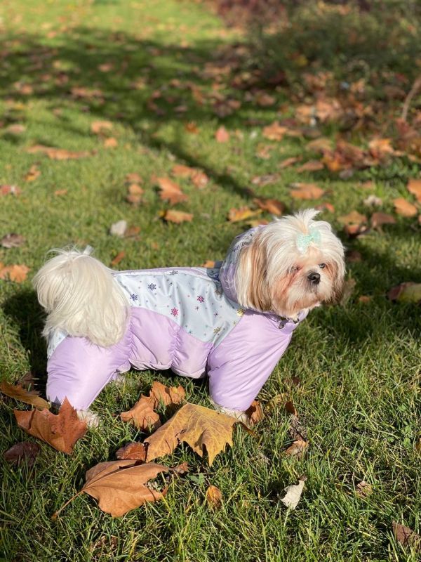 Комбінезон Кришталь на силіконі з хутром (дівчинка) XXS