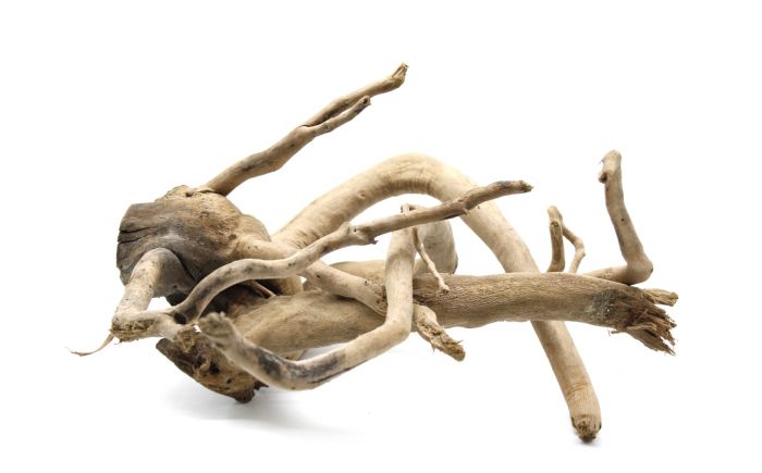 Корінь азалія ХХXS (до 100 гр) 