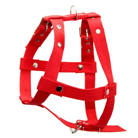 Шлея економ Одинарна Червона 30 мм