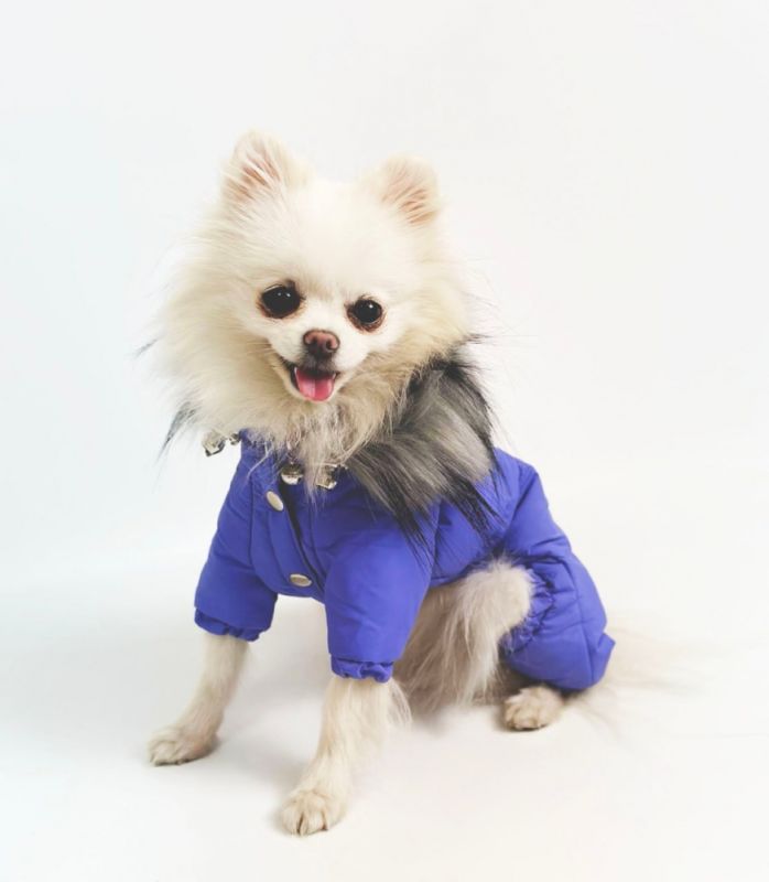 Комбінезон Лорд на силіконі (хлопчик) XS