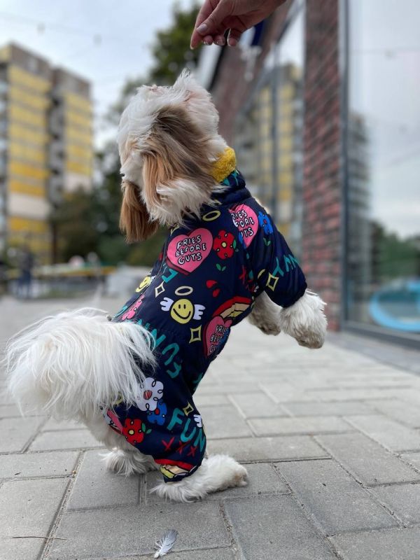 Ляля комбінезон на овчині без силікону для собак дівчаток S2 мопс