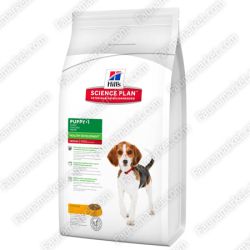 Hills SP Puppy Medium Breed з куркою для цуценят середніх порід до 1 року 3кг