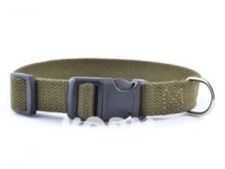 Нашийник брезентовий Фастекс Franty 201021 25мм29-44см L