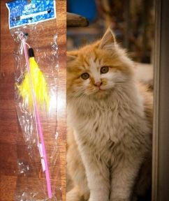 Вудка-дражнилка для кішок 30 см Пірїнка 