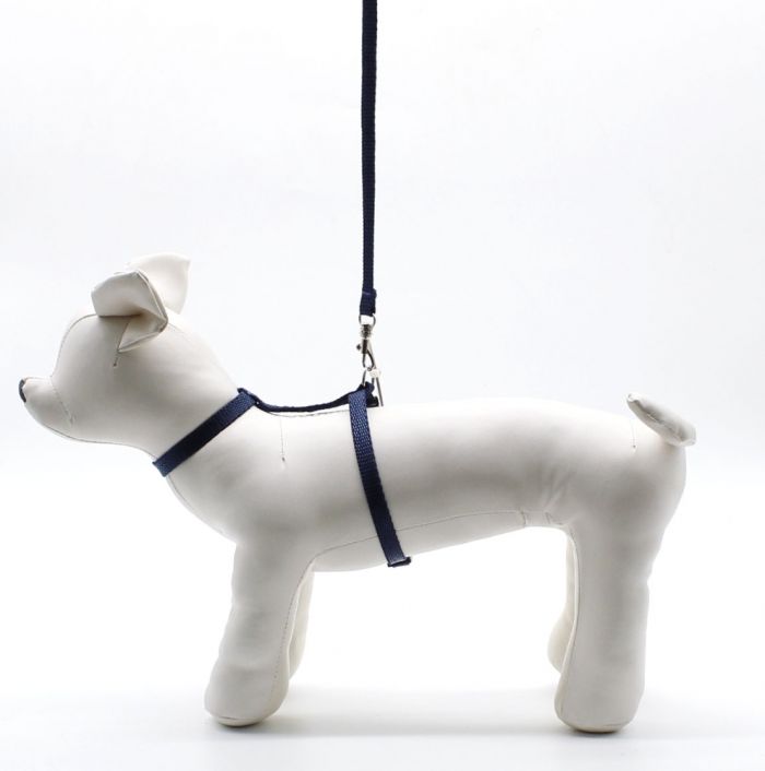 Комплект для гризунів Хомка, 21-35 см синій