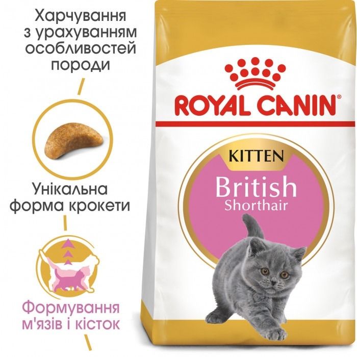 АКЦІЯ Royal Canin Kitten British Shorthair корм для кошенят британська короткошерста 2 кг + 4 паучі 