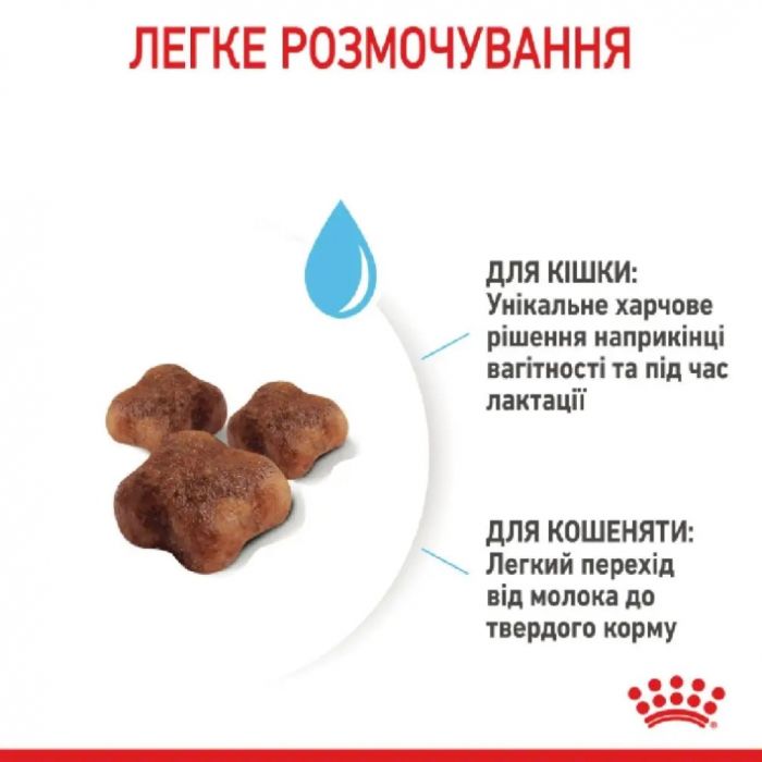 АКЦІЯ Royal Canin Babycat сухий корм для кошенят та вагітних кішок 8+2 кг 