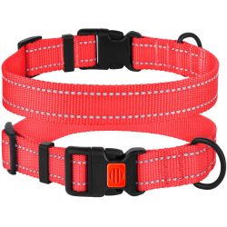 Нашийник для собак BronzeDog Корал пластиковий фастекс 1224 51Т 25мм (35-53см)