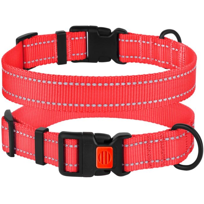 Нашийник для собак BronzeDog Корал пластиковий фастекс 1224 51Т 25мм (35-53см)