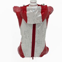 Дана комбінезон для собак дівчаток на силіконі L