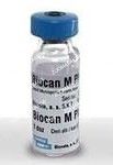 Біокан М-вакцина від мікроспорії для собак, Bioveta Біокан М (від мікроспорії для собак) Bioveta, Чехія