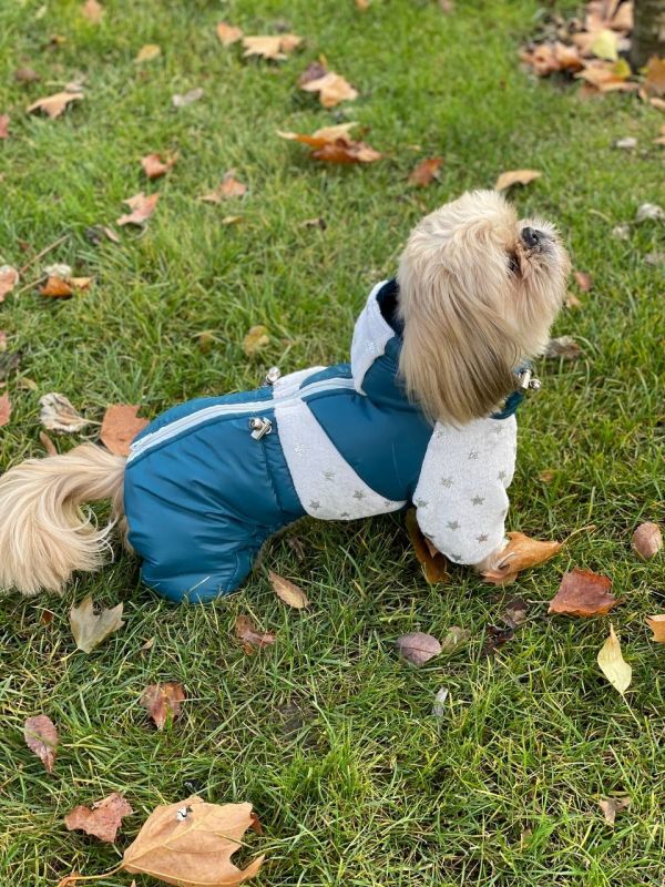 Комбінезон Тайлер на силіконі (хлопчик) S