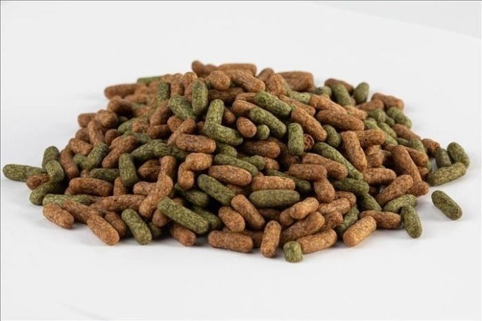 Акваріус (банку) Меню для черепах 150г Акваріум (банку) Меню для черепах 150г