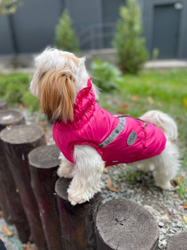 Класика жилет для собак дівчаток на силіконі S3