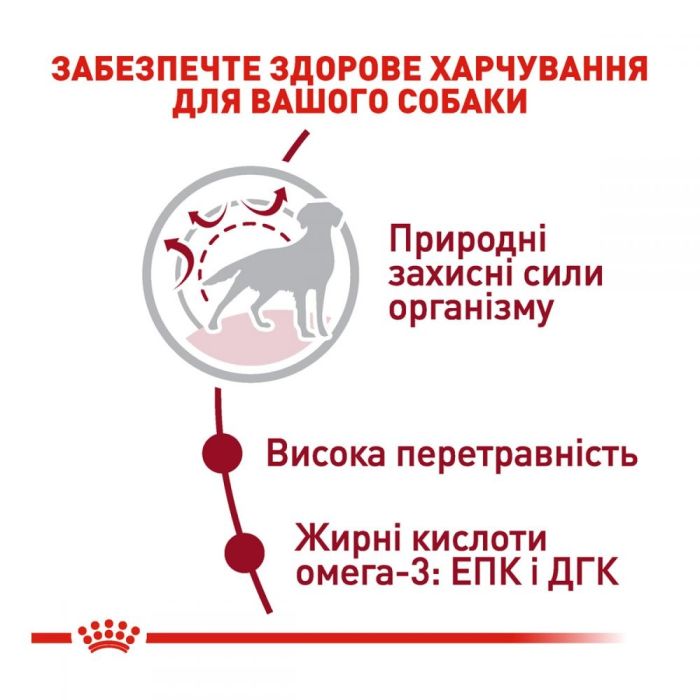 Royal Canin shn medium ad 4кг + 12 паучей, корм для собак 11343 акція 