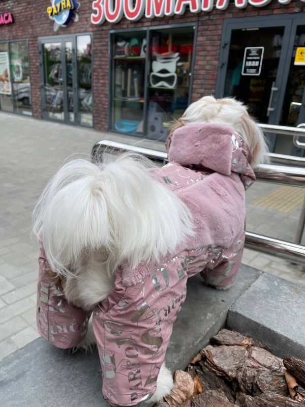 Дайкірі комбінезон для собак дівчаток на силіконі S3
