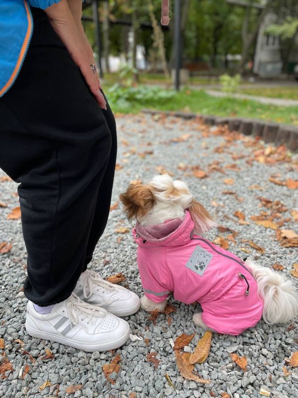 Єдність комбінезон велсофт без силікону для собак дівчаток S