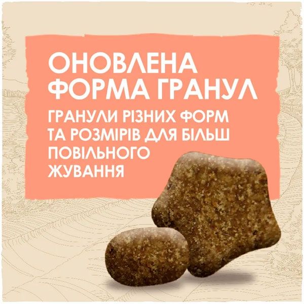 Dog Chow Active Adult 1+ сухий корм для собак із підвищеною активністю з куркою 2,5 кг