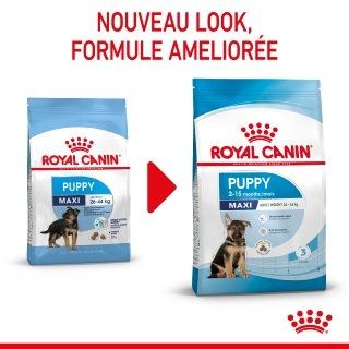 Royal Canin Maxi Puppy сухий корм для цуценят великих порід з 2 до 15 місяців 4 кг