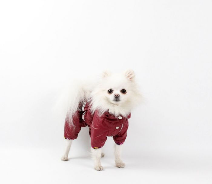 Набір Фрезія жилет силікон + комбінезон велсофт бордо (дівчинка) XS