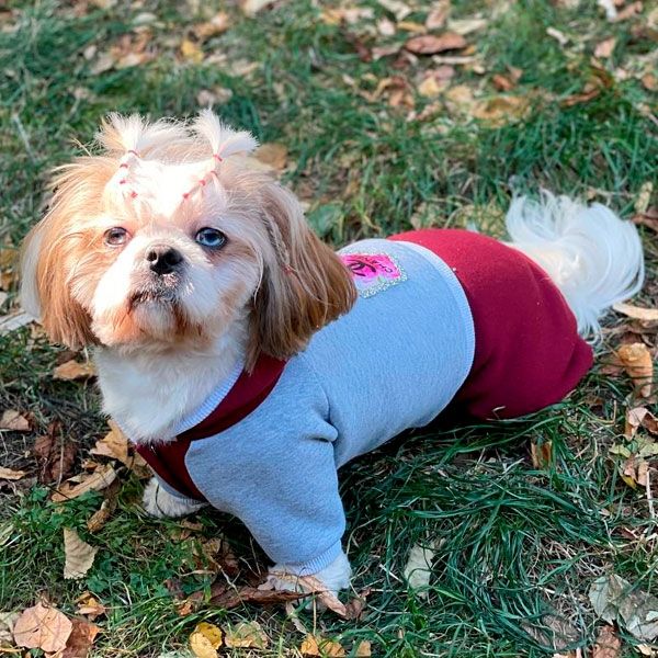 Комбінезон Габі трикотаж на флісі (дівчинка) S