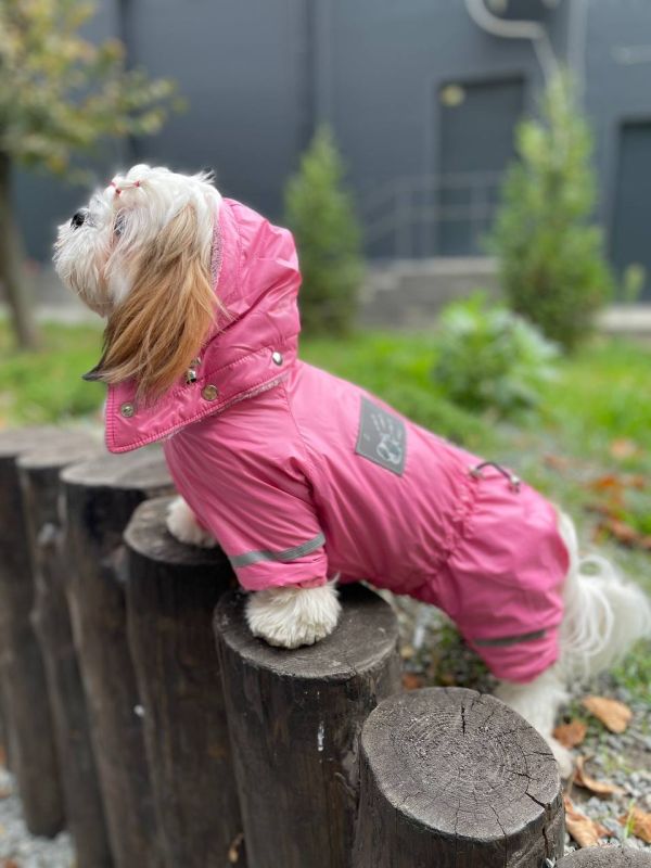 Єдність комбінезон велсофт без силікону для собак дівчаток S