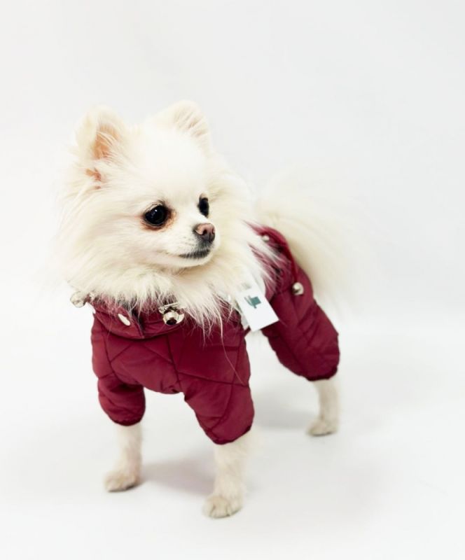 Комбінезон Міла стьобаний силікон (дівчинка) S3