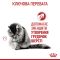АКЦІЯ Royal Canin Hairball Care сухий корм для кішок для виведення вовни зі шлунка 2 кг + 12 паучів 
