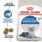 АКЦІЯ Royal Canin Indoor 7+ сухий корм для котів 3,5 кг + наповнювач Catsan 5 л 