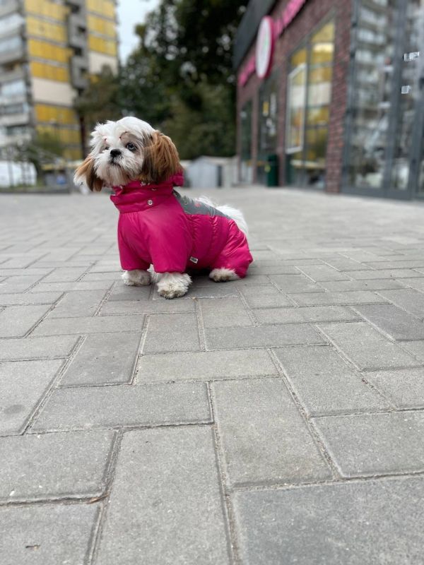 Ялинка світшот для собак дівчаток трикотаж на флісі Фуксія S