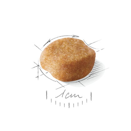 Royal Canin (Роял Канін) Yorkshire Terrier Adult 28 сухий корм для Йорків 3 кг