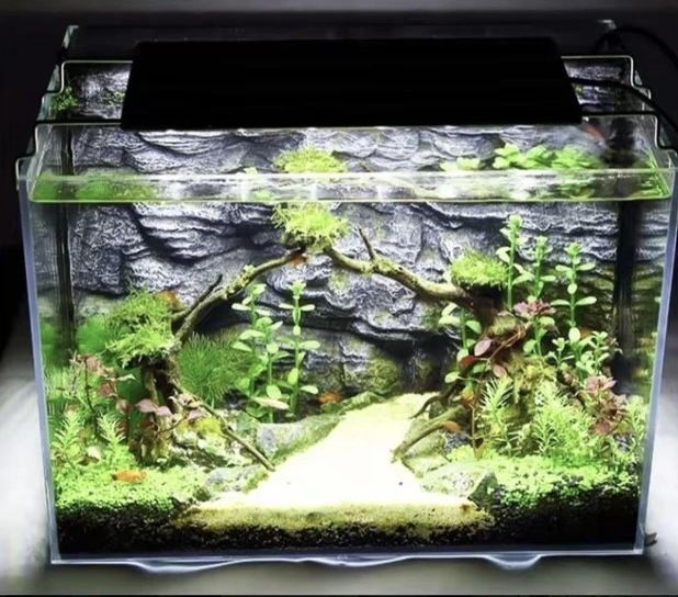 Світильник діодний 30 см (біло-синє світло), QL-30B 