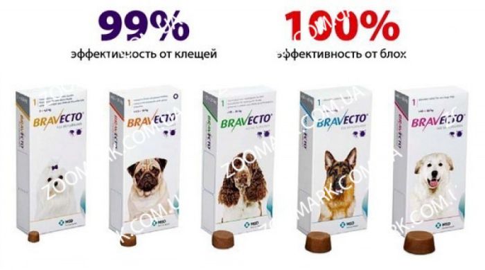 Таблетка Бравекто (Bravecto) для собак 2 - 4,5 кг