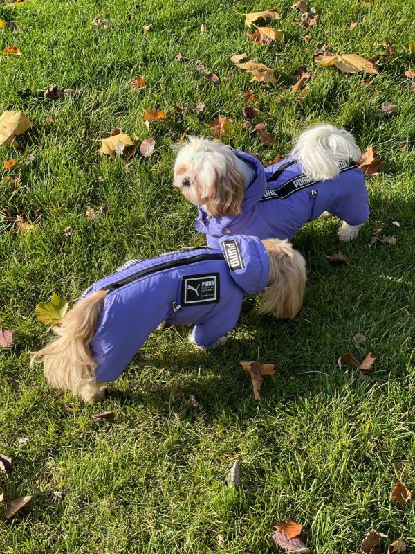 Комбінезон Пума силікон (хлопчик) S3