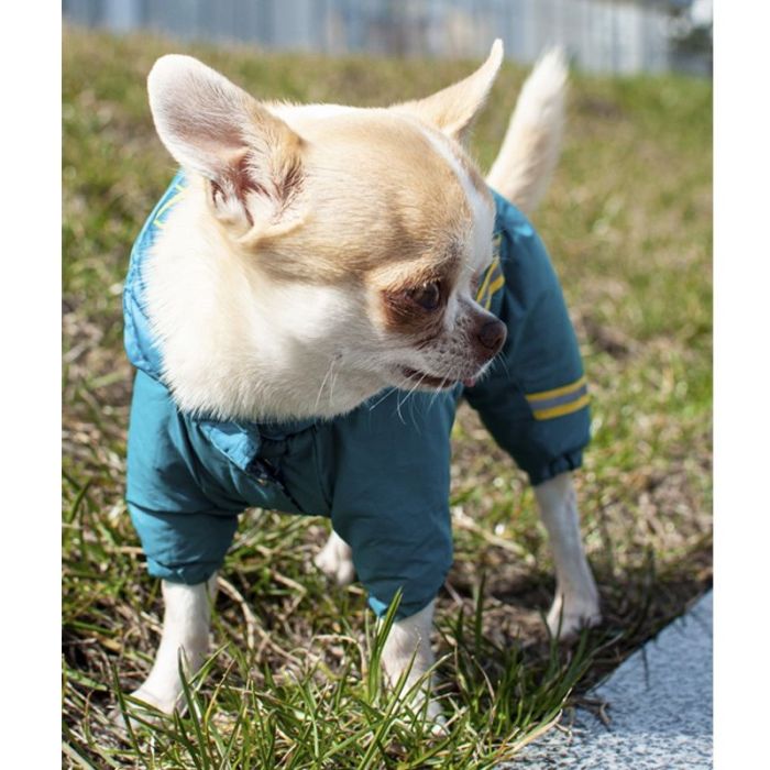 Комбінезон для собак хлопчиків на силіконі XXS