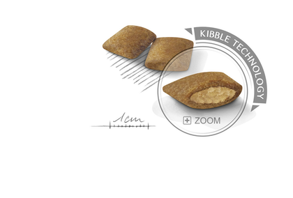 Royal Canin (Роял Канін) Mini Exigent сухий корм для вибагливих собак 1 кг