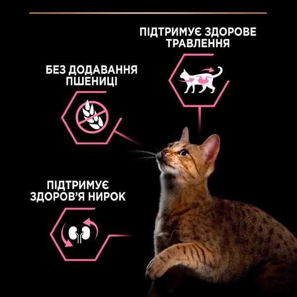 PRO PLAN Delicate сухий корм для котів із чутливим травленням з індичкою 10 кг