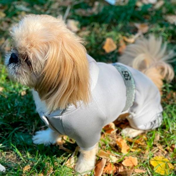 Комбінезон Гучик трикотаж на флісі (хлопчик) S2