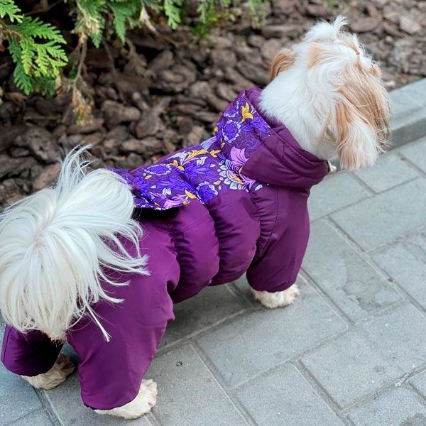 Комбінезон Азалія силікон (дівчинка) XXS