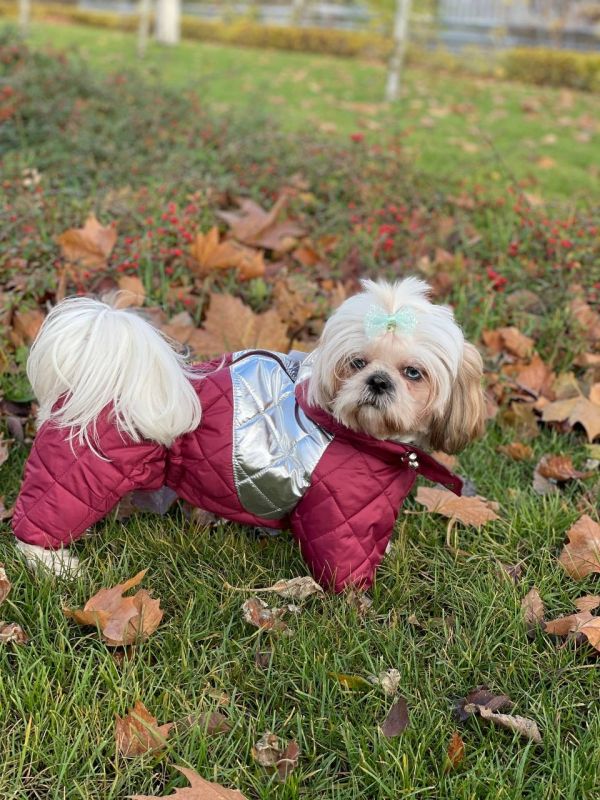 Комбінезон Міла стьобаний силікон (дівчинка) S3